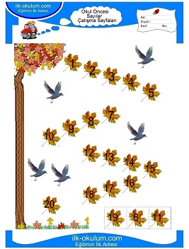 Çocuklar İçin Sayılar Çalışma Sayfaları 
